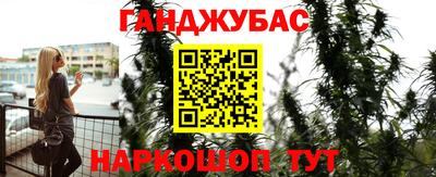 сатива Обь