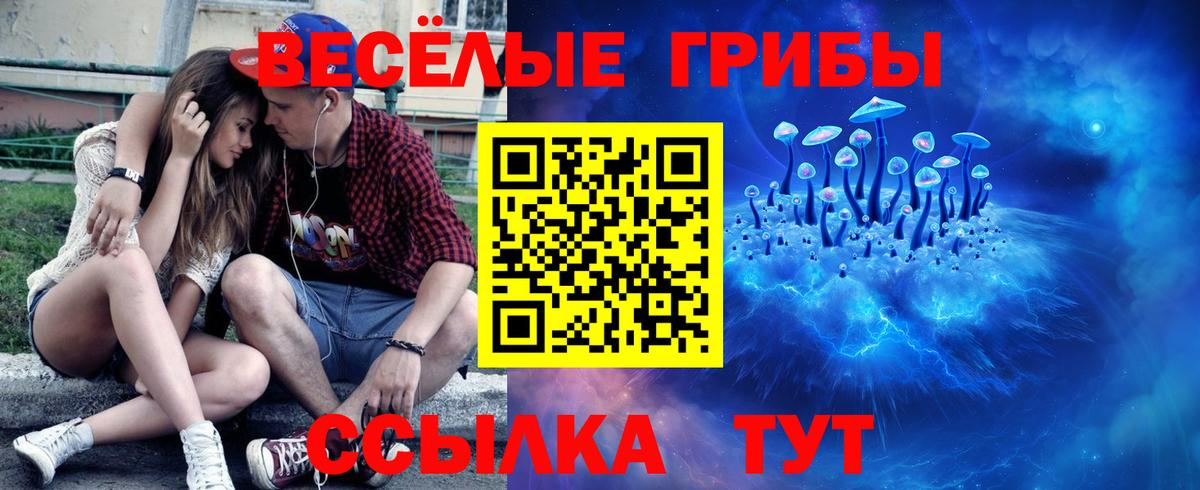 Чайковский  Псилоцибиновые грибы мухоморы  Вход с VPN 